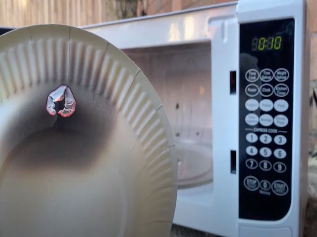 can you microwave paper plates without burning