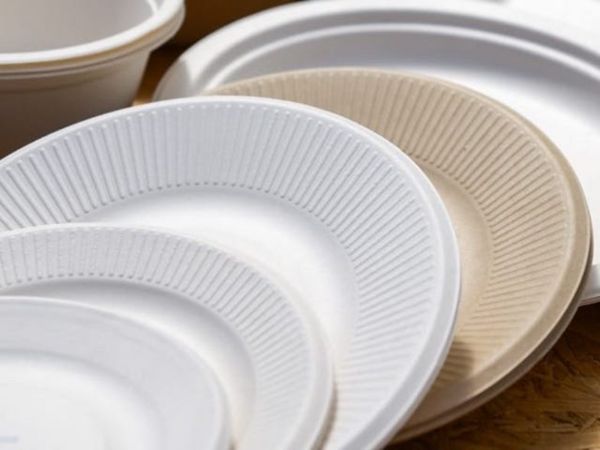 microwave paper plates that are plain