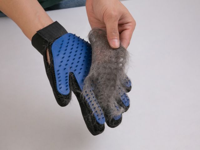 Remove dog hair with rubber gloves